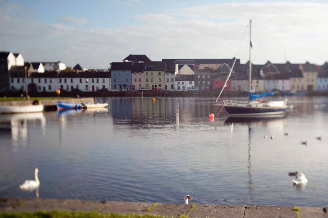 The Herons Rest Townhouse B&B Galway Room photo